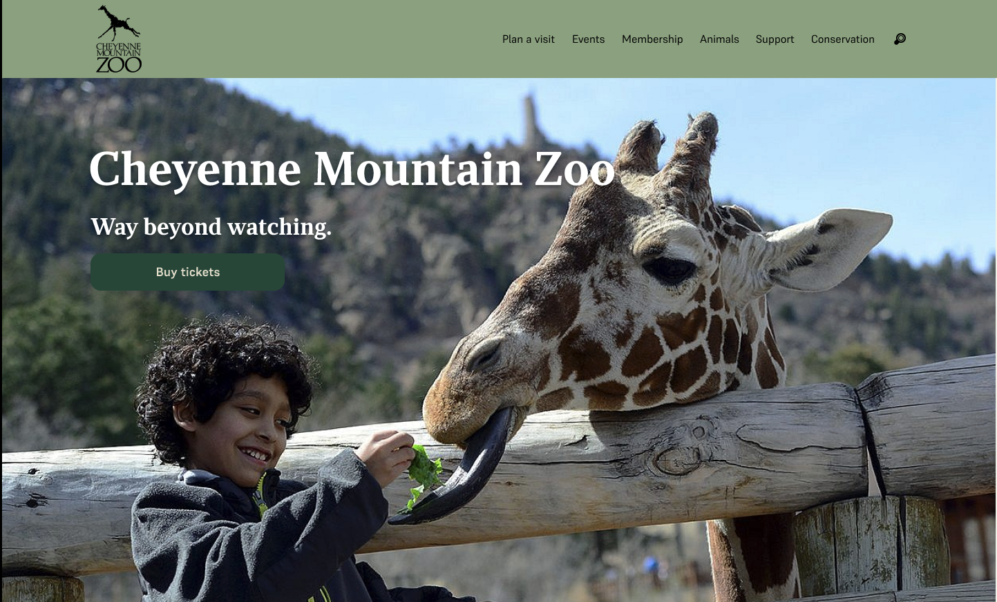 Cheyenne Mountain Zoo Redesign